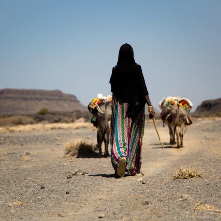 Une femme marche avec du bétail à Afar, dans le nord de l'Éthiopie, le 2 mars 2022.