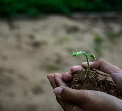 Europe/ Asie centrale: 1 enfant sur 2 exposé aux fortes vagues de chaleur