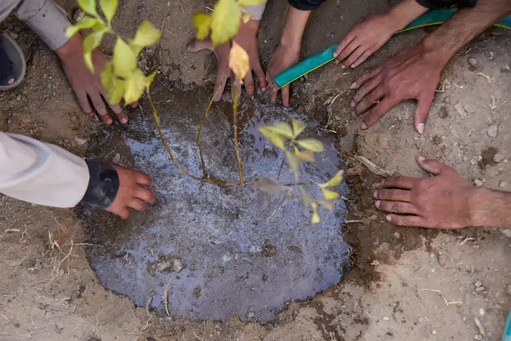 Des élèves plantent des arbres dans le cadre des initiatives de l'UNICEF au Yémen pour encourager les jeunes à protéger l'environnement et à agir pour lutter contre le changement climatique.© UNICEF/UNI484485/