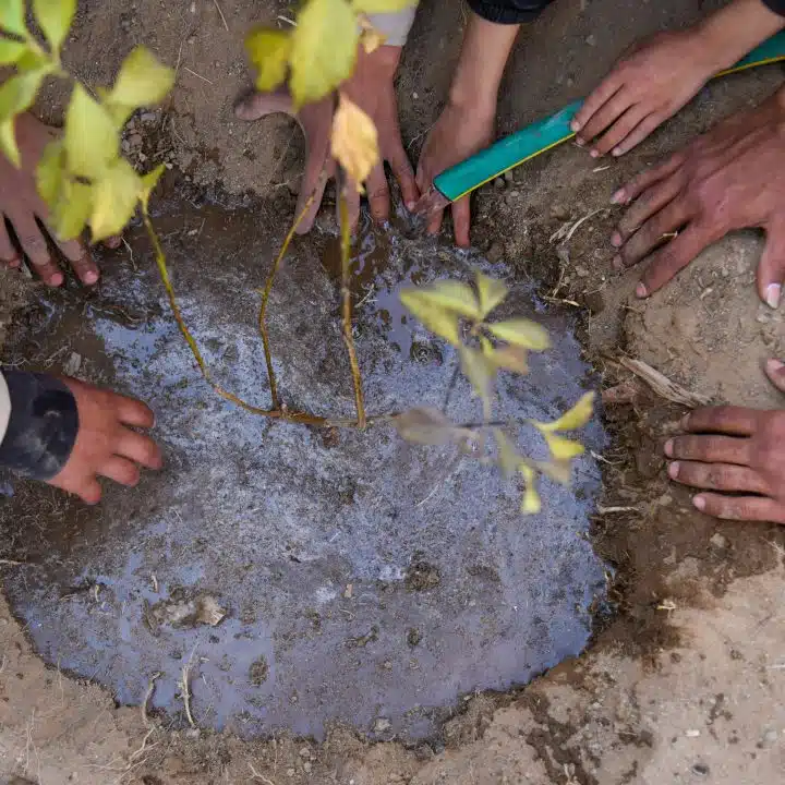 Des élèves plantent des arbres dans le cadre des initiatives de l'UNICEF au Yémen pour encourager les jeunes à protéger l'environnement et à agir pour lutter contre le changement climatique.© UNICEF/UNI484485/