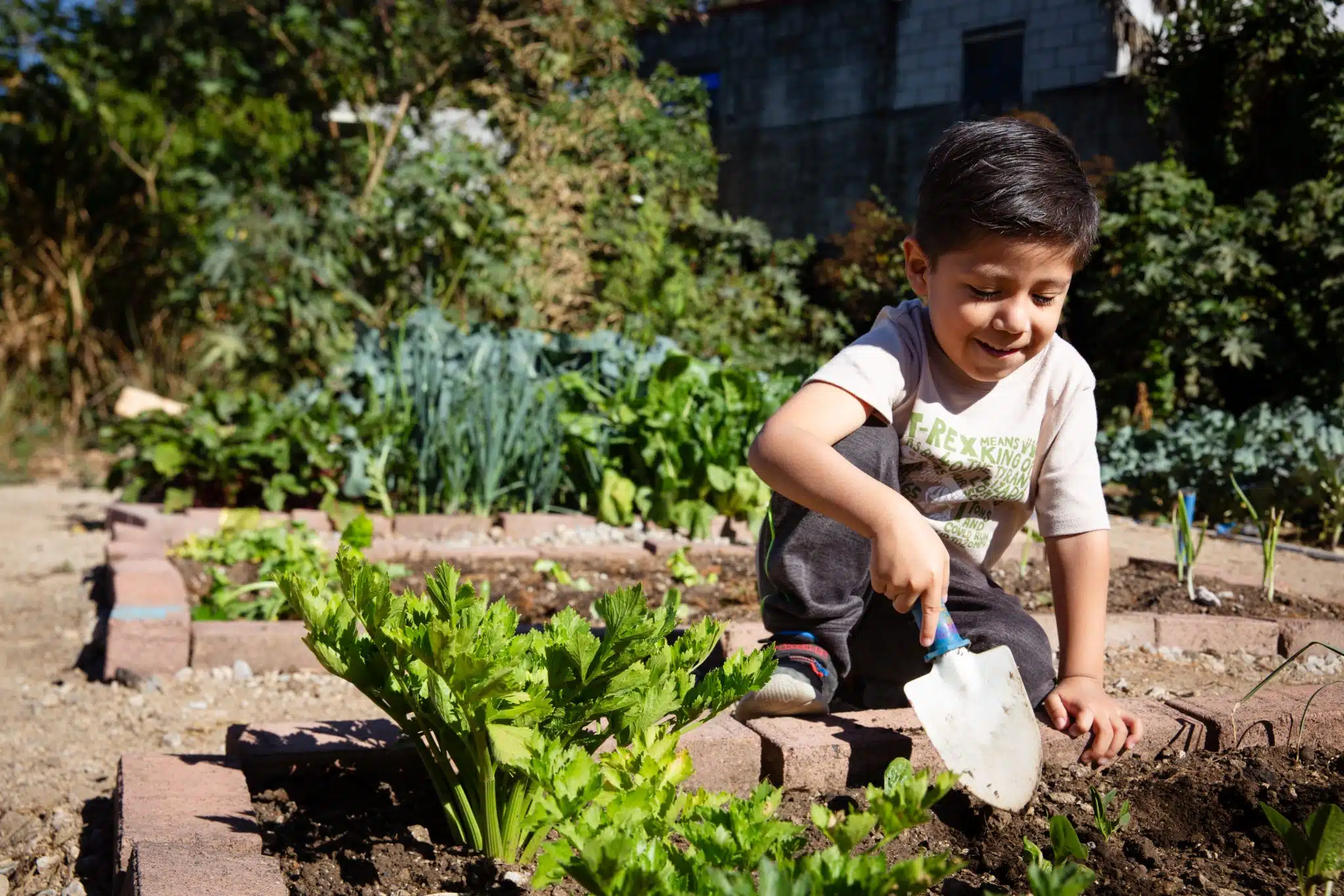 Le 21 février 2024, dans le quartier 5 de Guatemala City, Derek Padilla, 5 ans, aide à planter dans le jardin communautaire de la municipalité de Guatemala. Les enfants et les adolescents sont particulièrement vulnérables aux effets du changement climatique. En Amérique latine et dans les Caraïbes, quatre garçons et filles sur cinq sont surexposés aux risques liés aux dangers et aux événements climatiques défavorables.© UNICEF/UNI551117/Willocq