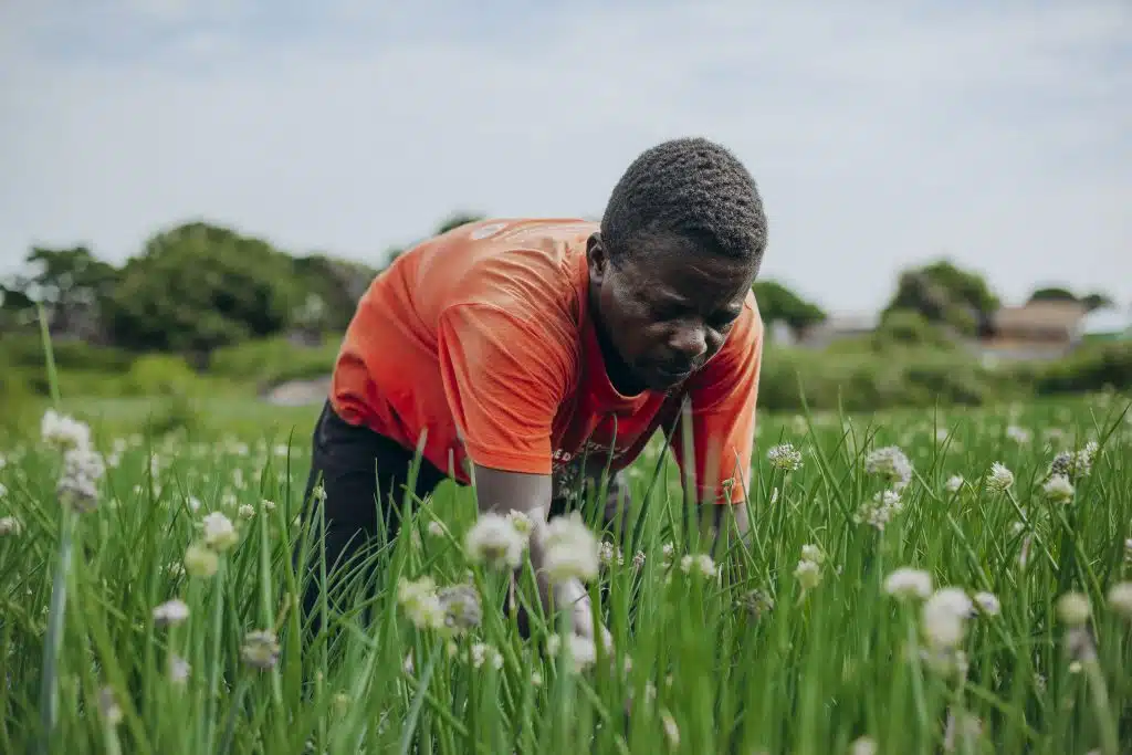 Sono Mavudi est agriculteur dans la province du Kongo Central en RDC. © UNICEF/UNI545046/Mokili